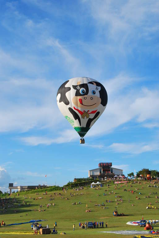 Cow Balloon